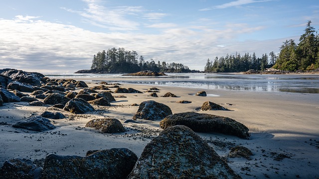 Tofino